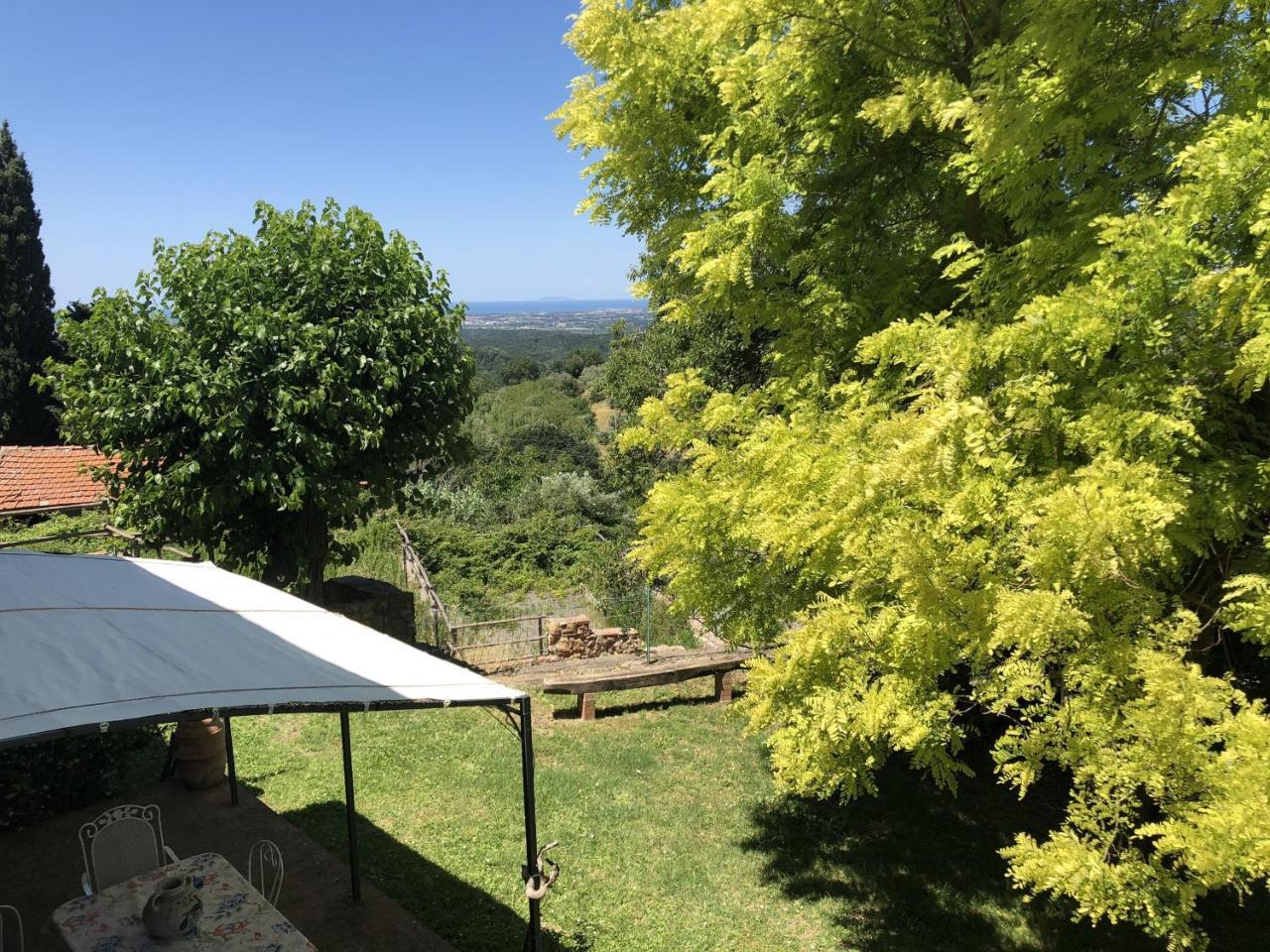 Haus Malerin - Meerblick, Umzaeunter Garten By Toscanatour Guardistallo Bagian luar foto