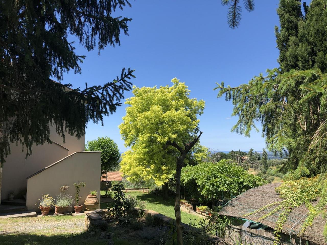 Haus Malerin - Meerblick, Umzaeunter Garten By Toscanatour Guardistallo Bagian luar foto